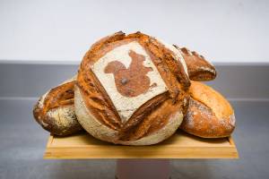 Mahefasoa PINEAU - LAED Compagnie