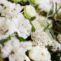 Laurent DOURRIEU - Horchamp